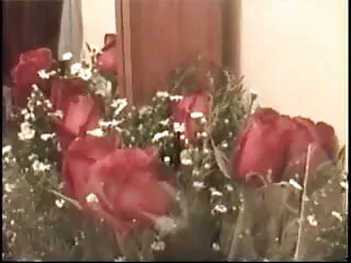 डिफॉन्सर सेक्सी फिल्म फुल एचडी बीएफ ५