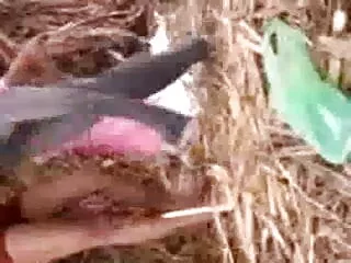 दादी फिर से सेक्सी वीडियो सेक्सी वीडियो फुल मूवी एचडी