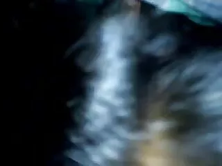 गोरा किशोरों की पट्टी और blowjob सेक्सी पिक्चर फुल एचडी