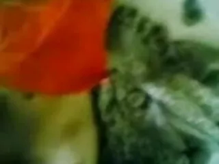 एमेच्योर श्यामला कॉलेज लड़कियों बकवास सेक्सी फिल्म सेक्सी फुल एचडी और चूसना